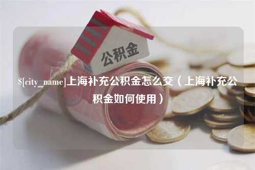 邵阳县上海补充公积金怎么交（上海补充公积金如何使用）